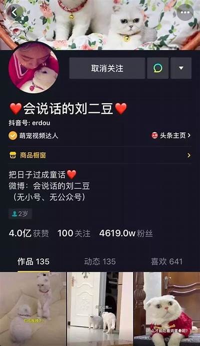 迷人主播展现魅力，抖音短视频带你领略美女主播的精彩瞬间
