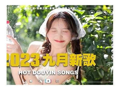 抖音热潮：2023年热门短视频精选合集 mp4下载