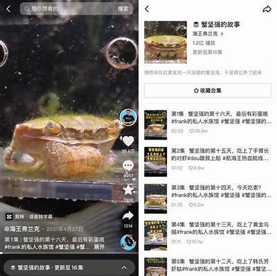 抖音版耗子走红，看看它为何受欢迎的背景!