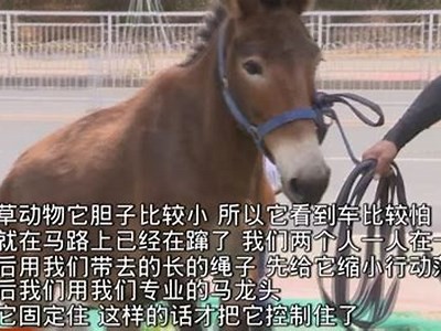 抖音黄版APP破解版下载链接及安装教程